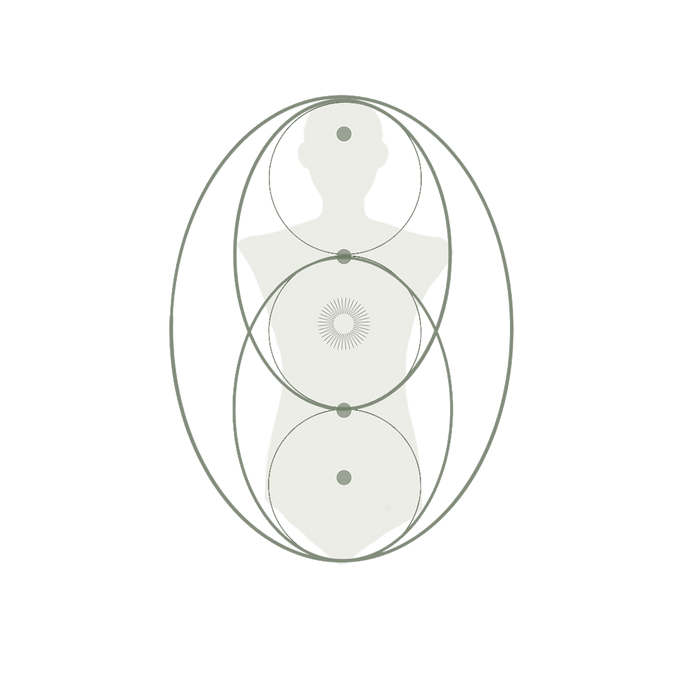 Copia de plantillas insta TNDR (1).png