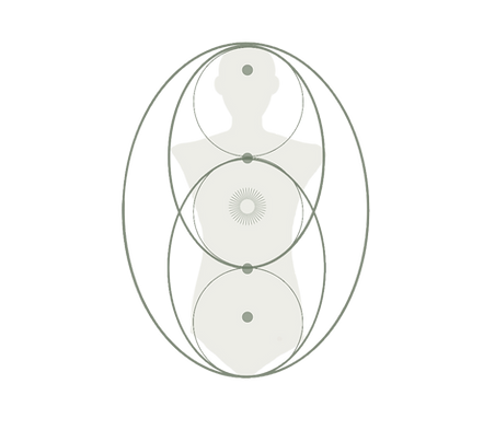 Copia de plantillas insta TNDR (1).png