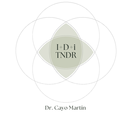 I+D+I TNDR (2).png